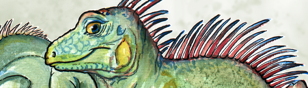 iguana banner