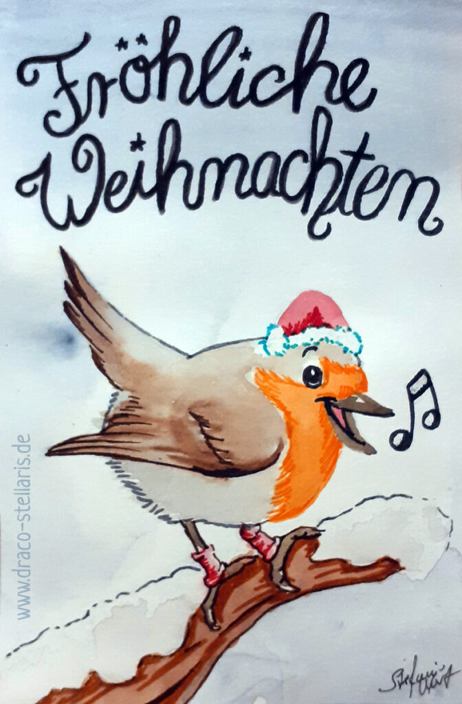 merry christmas robin fröhliche weihnachten robin rotkehlchen