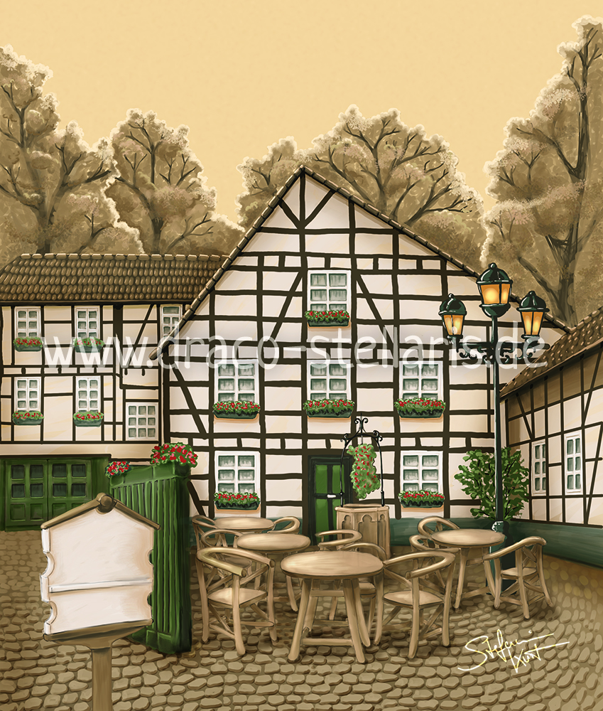 Book cover “Diese Drombuschs”